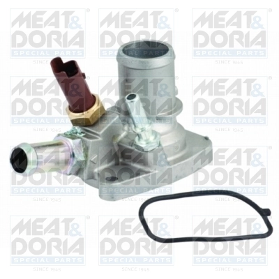 Thermostat, coolant